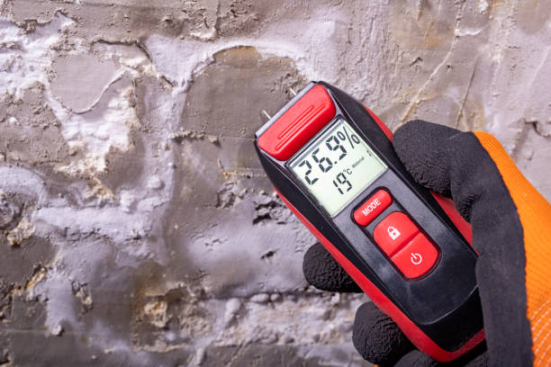 Best Mold Testing  in Berryville, VA