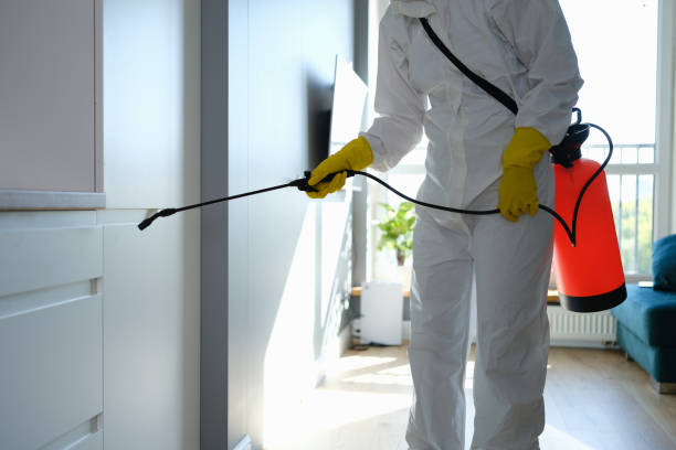 Reliable Berryville, VA Mold Removal Solutions