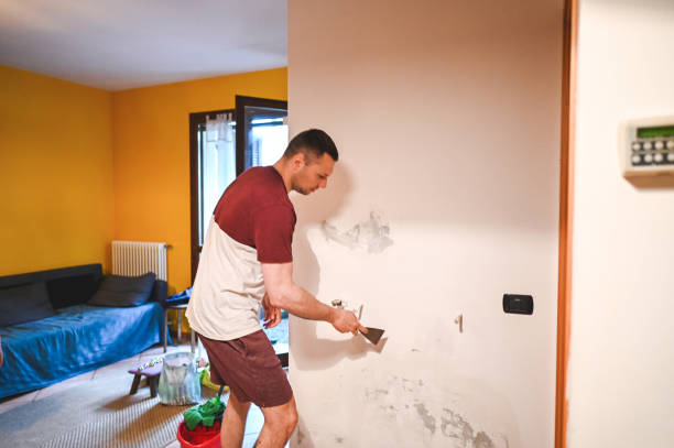 Best Local Mold Removal Service  in Berryville, VA